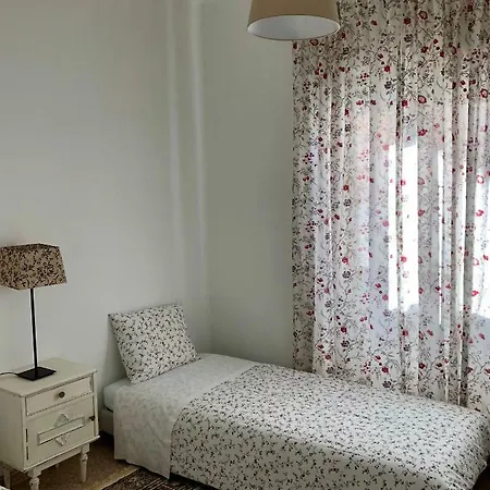 Lines Of Wellignton *