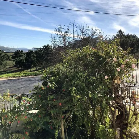 Apartamento Lines Of Wellignton Torres Vedras