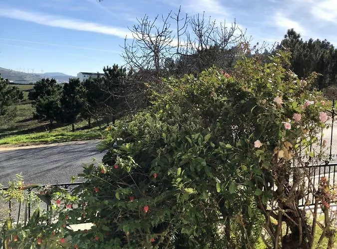 Апартаменты Lines Of Wellignton Торреш-Ведраш